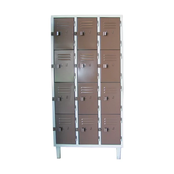 Locker 12 casilleros